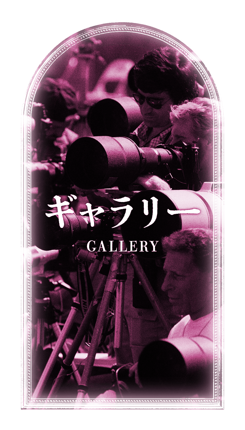 ギャラリー